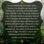 Girl of Glass and Fury Finchoa Quote