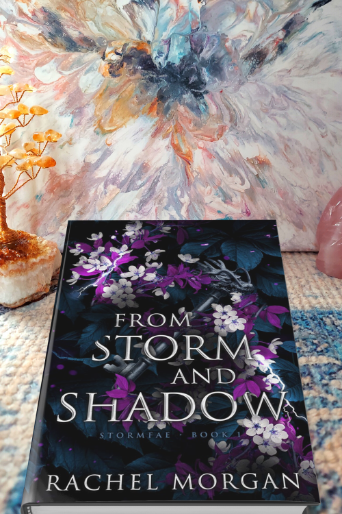 From Storm and Shadow cover From Storm and Shadow cover